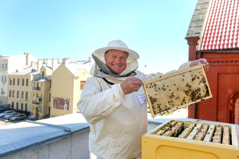Beekeeping on the roof of the famous Red Church in Minsk