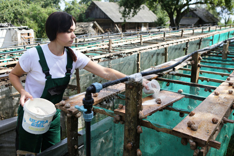 Victoria Rabkova feeds snails