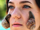 Snails for a face mask