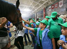 A horse show at Nanosy-Novoselye