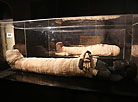 Выставка "Сокровища Древнего Египта"
