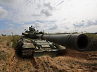 A T-80 combat tank (Russian army) in a target practice session