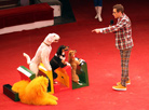 Праздничная программа "Дед Мороз и африканские львы" в Гомельском цирке 