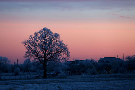 A winter morning in Grodno district