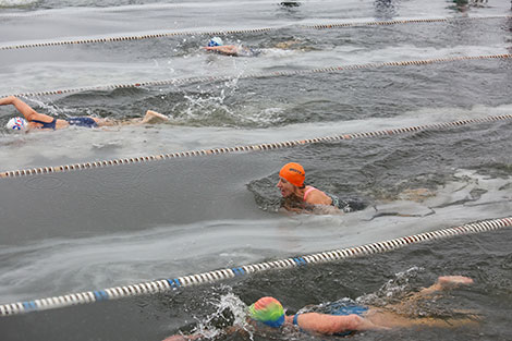 Открытый чемпионат Беларуси по спортивному зимнему плаванию 