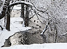 Печерский лесопарк в зимнем антураже