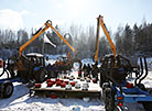Tractor biathlon in Smorgon District: Frosty weather, tough race