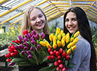 感受春天节日的气息：国际妇女节前最受欢迎的花卉