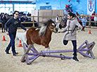 Spring 2018 horse show in Minsk