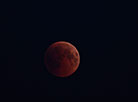 Белорусы могли наблюдать полное лунное затмение и великое противостояние Марса