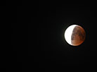 Белорусы могли наблюдать полное лунное затмение и великое противостояние Марса