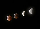 白罗斯人能够观察月全食和火星的巨大对抗