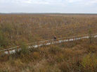 National landscape reserve Yelnya