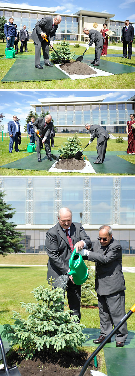 Президент Индии посадил дерево на Аллее почетных гостей у Дворца Независимости