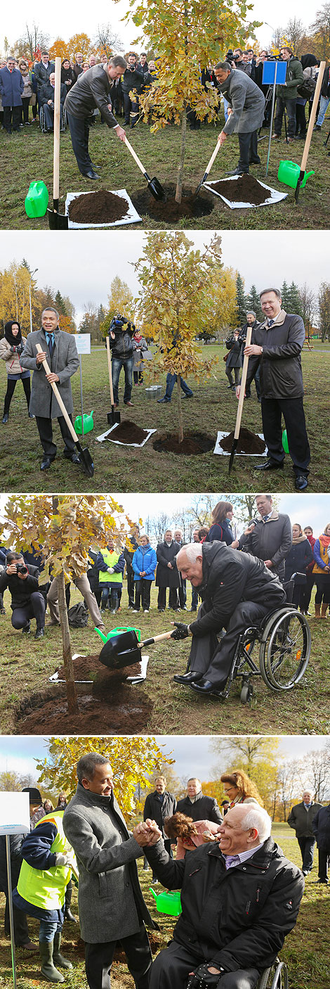 Oak is planted in Grodno to mark UN 70th anniversary