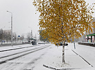 Winter weather arrives in Gomel in October
