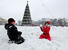 Циклон Axel в Беларуси: снегопады, метели и студеные январские морозы