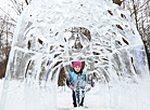 Фестиваль-конкурс ледовых и снежных скульптур в Центральном ботаническом саду НАН Беларуси