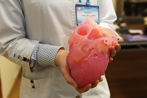 3D heart model