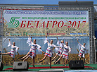 Белагро-2017
