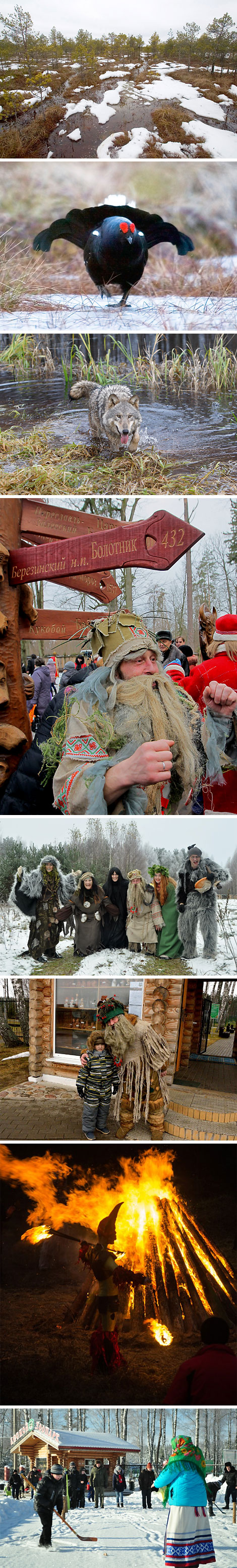 Березинский биосферный заповедник 