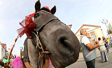 Анненская ярмарка