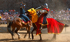 Международный фестиваль средневековой культуры "Новогрудский замок"