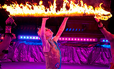 "Тайна волшебного ларца" в Белгосцирке