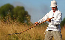 Споровские сенокосы