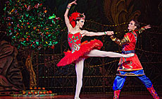 The Firebird ballet in Minsk