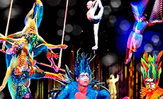 Varekai show of the Cirque du Soleil circus