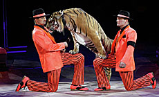 Circus of the Zapashnys Brothers 