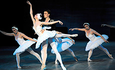 Ballet Summer in Bolshoi Theater project