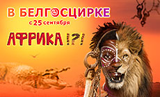 Праграма "Афрыка!?!" у Белдзяржцырку