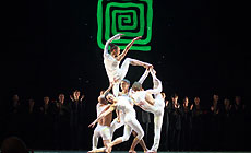 Міжнародны фестываль сучаснай харэаграфіі ў Віцебску (IFMC-2017)