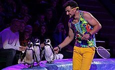 "Парад дынастый" у Белдзяржцырку