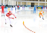 Международные соревнования по скоростному бегу на коньках