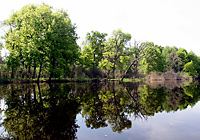 Национальный парк Припятский - Припятское Полесье - Белорусская Амазония - лёгкими Европы