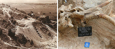 Archaeological excavations in Yurovichi, the mammoths’ remains