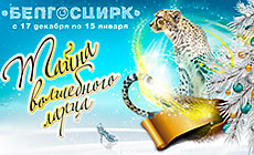 Mystery of Magic Box in Belarusian circus