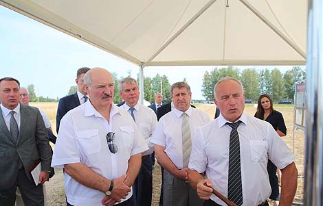 Lukashenko urges to enhance technological, personnel discipline during harvesting
