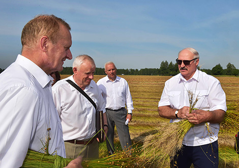 Lukashenko sees good prospects for raising flax growing efficiency in Belarus