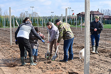 Lukashenko on subbotniks: ‘Together we are making Belarus a better place’