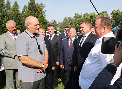 Lukashenko urges to accelerate harvest campaign