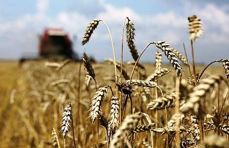 Belarus launches new mechanism of financial recovery of struggling farming enterprises