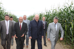 Модернизация сельского хозяйства ни в коем случае не должна остановиться - А.Лукашенко