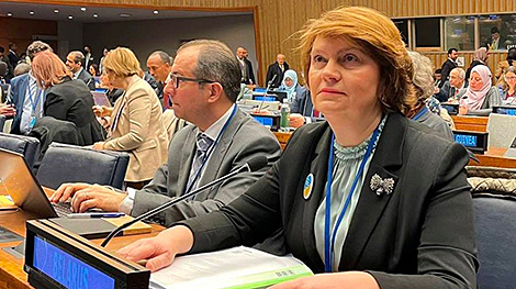 Передовая практика белорусских статистиков представлена на сессии Статистической комиссии ООН