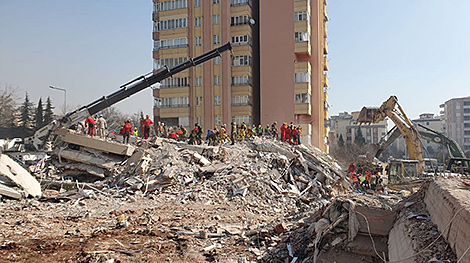 Министр внутренних дел Турции поблагодарил МЧС Беларуси за помощь в ликвидации последствий землетрясений