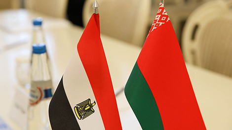 Беларусь и Египет обсудили перспективы межуниверситетского сотрудничества