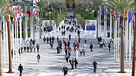 Алейник встретился в Дубае с председателем 28-й Конференции сторон Рамочной конвенции ООН об изменении климата